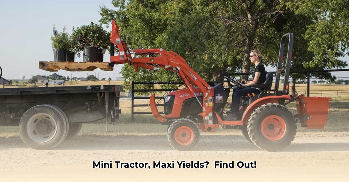 kubota-tractor-mini
